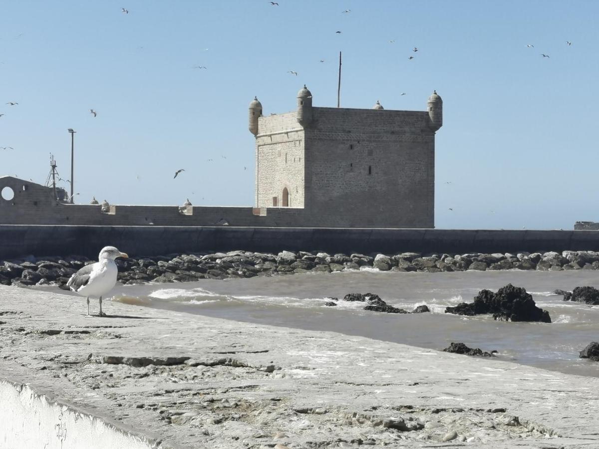Maison Mimosa, Lovely 3 Bedroom With A Large Pool Villa Essaouira